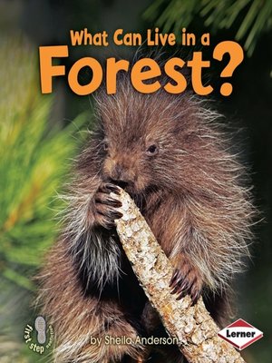 cover image of What Can Live in a Forest?